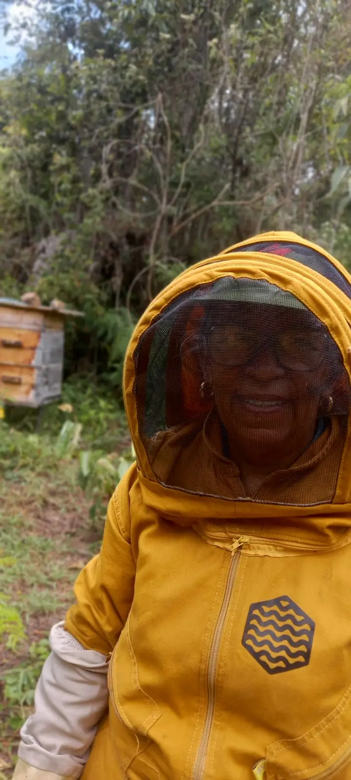 Paisaje del apiario con colmenas