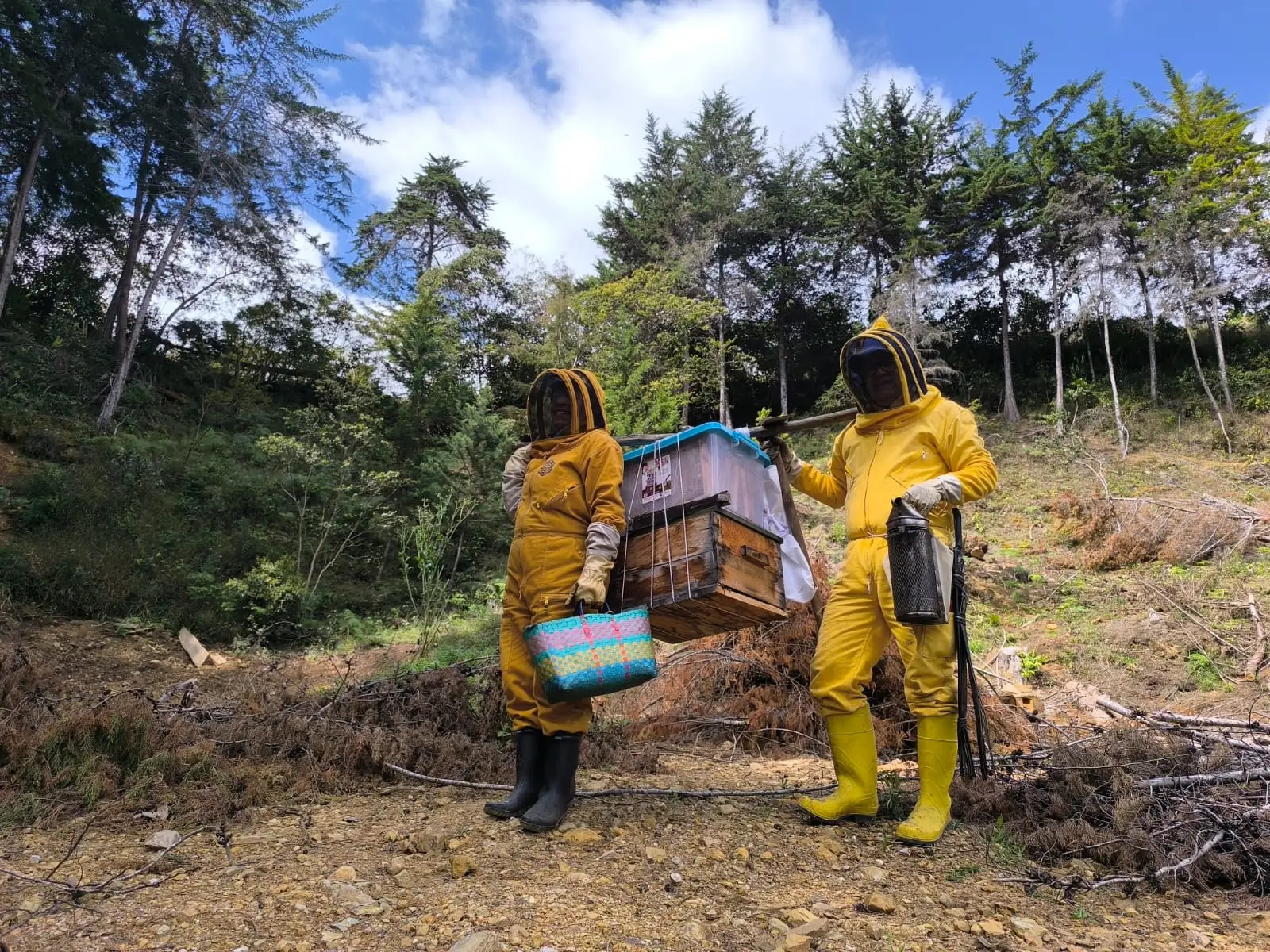 Persona con traje de apicultor inspeccionando una colmena